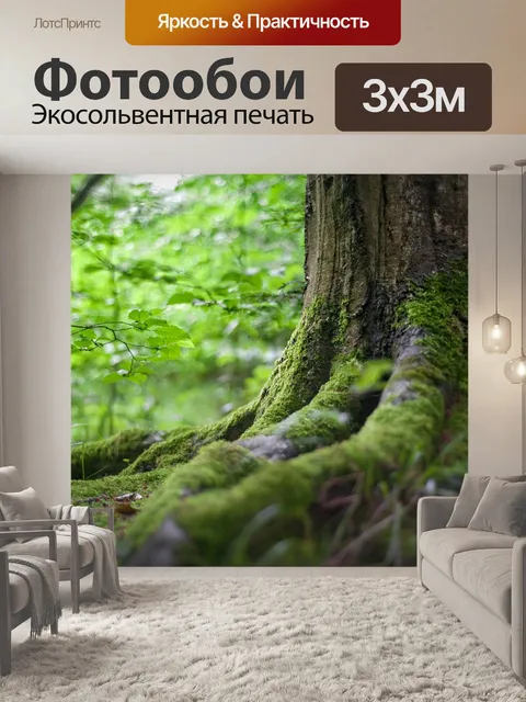 Фотообои Лес