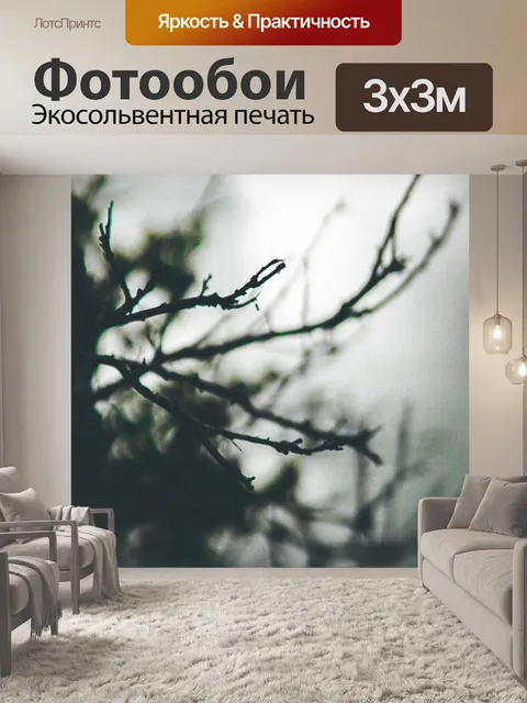 Фотообои Ветви