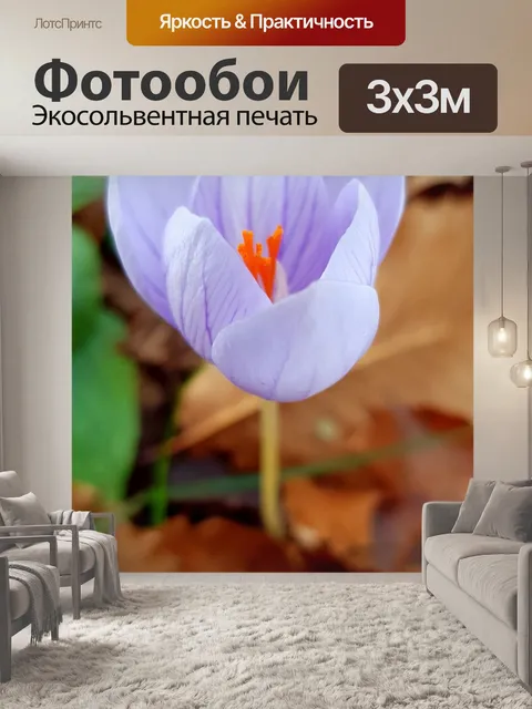 Фотообои Цветок