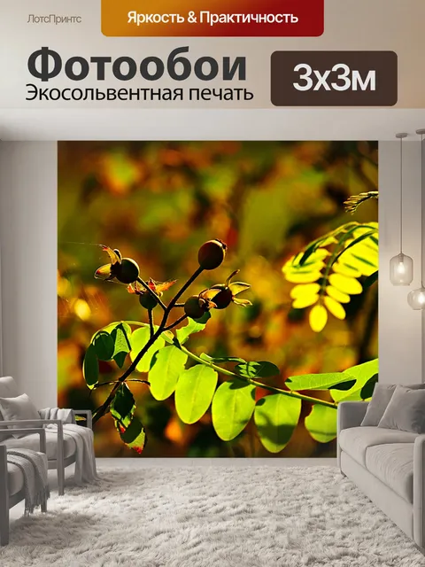 Фотообои Ягода