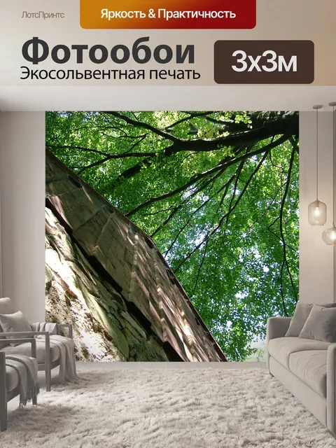Фотообои Лес
