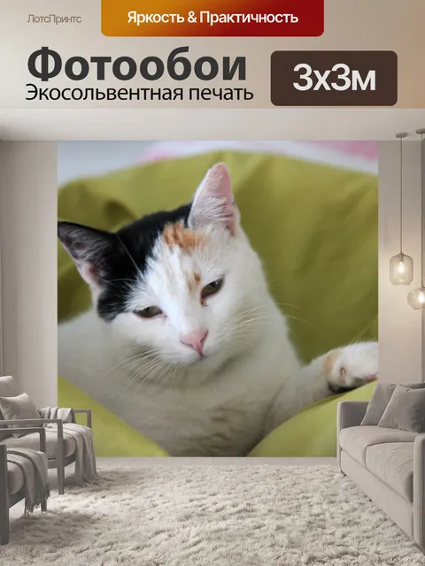 Фотообои Кошка