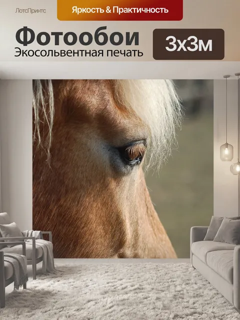 Фотообои Лошадь