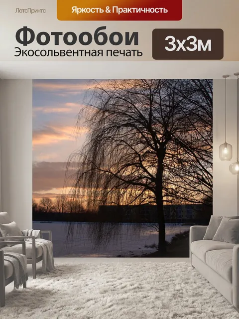Фотообои Деревья