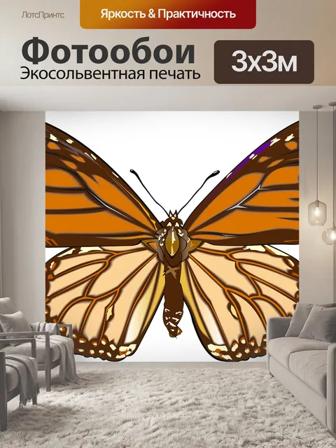 Фотообои Бабочка