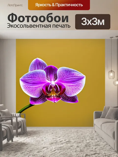 Фотообои орхидея, искусно оформленная в стиле минимализма, с фоном из однотонного цвета