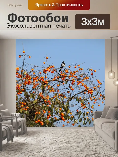 Фотообои Сорока