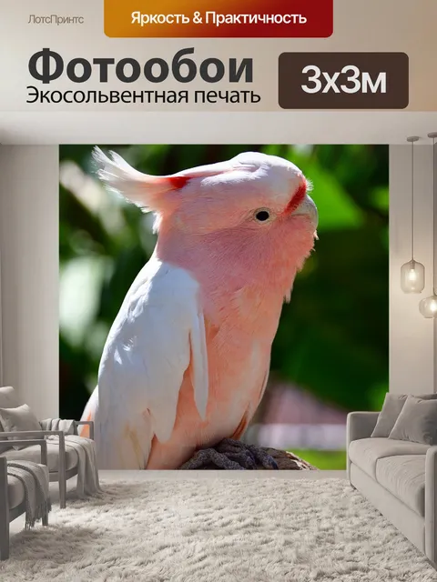 Фотообои Попугай