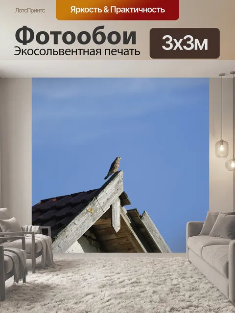 Фотообои Птица