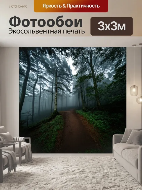 Фотообои туманная завеса скрывает часть леса, оставляя видимыми только верхушки деревьев и просеку, уходящую вглубь