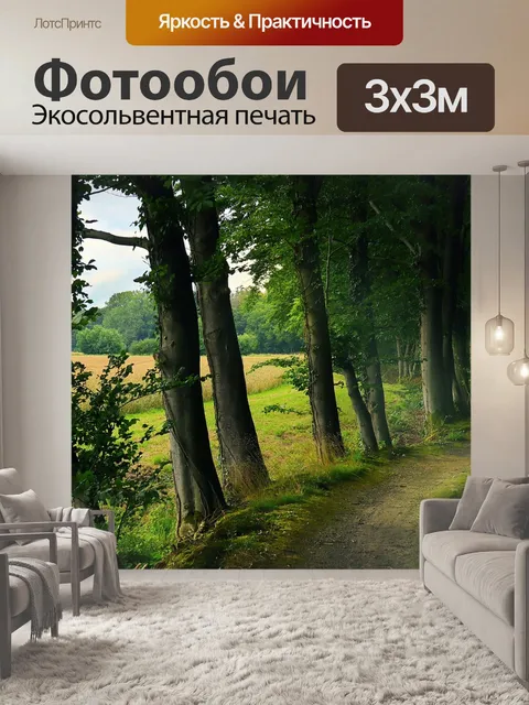 Фотообои Лес