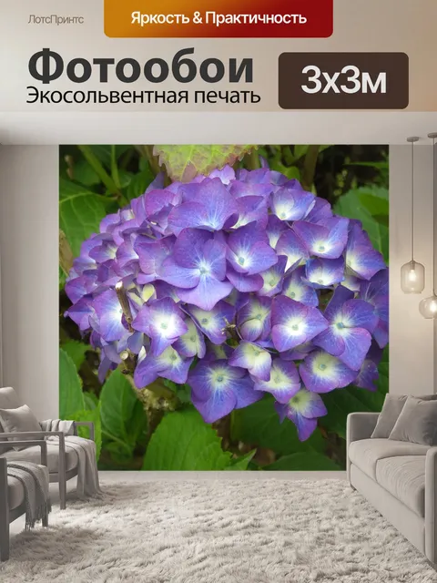 Фотообои фиолетовые цветы