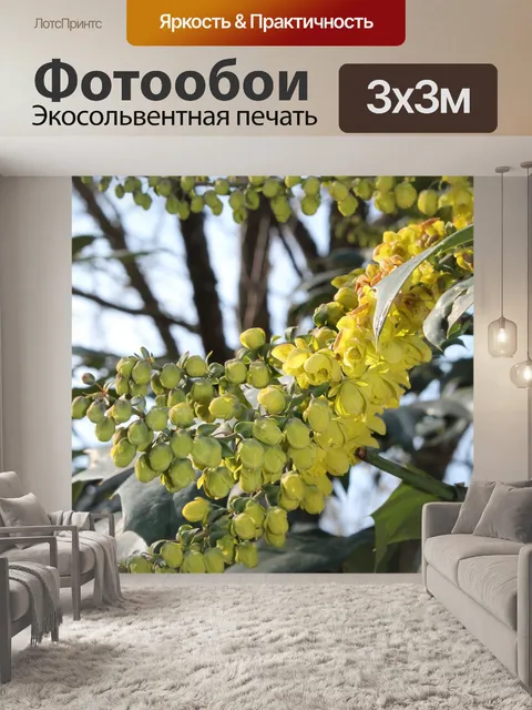 Фотообои Цветы