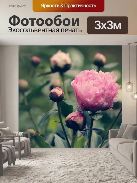 Фотообои Розовый цветок пиона