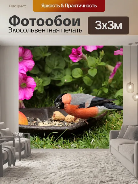 Фотообои Животное