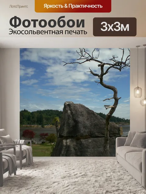 Фотообои Небеса