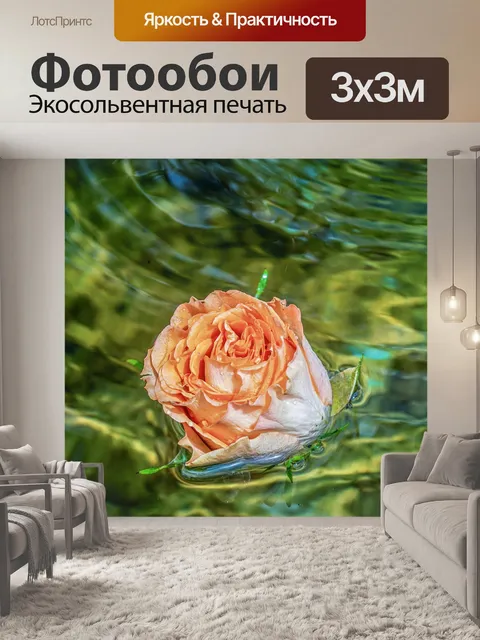 Фотообои Роза