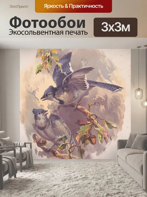 Фотообои Блю Джейс на дубе 1875