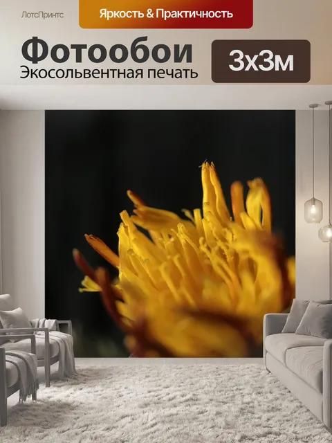Фотообои Цветок