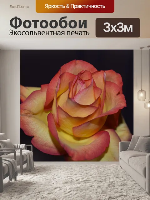 Фотообои Роза