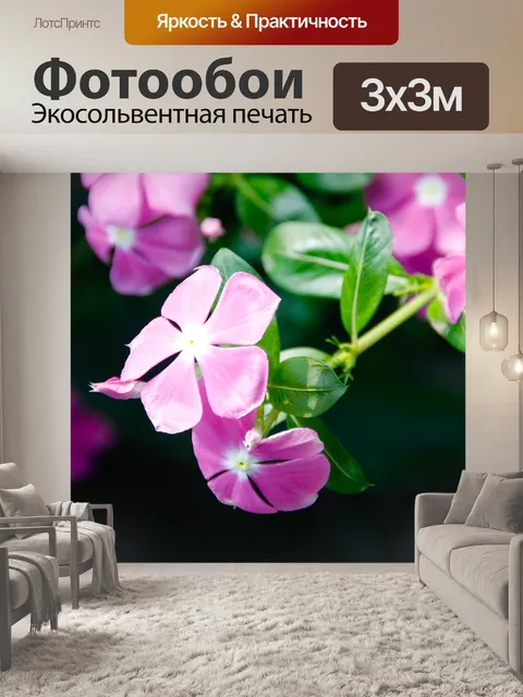Фотообои Орхидеи