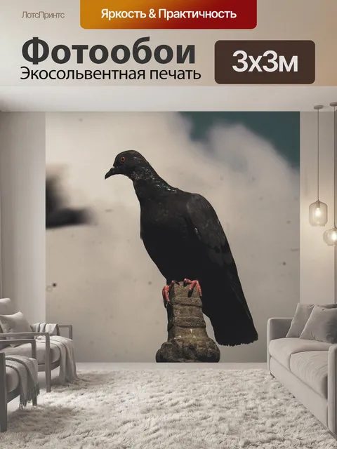 Фотообои Птица