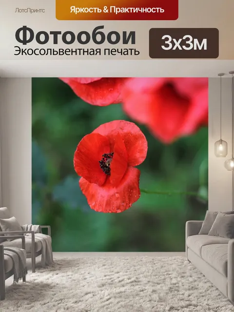 Фотообои Маки