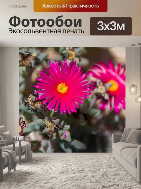 Фотообои розовые средиземноморские цветы