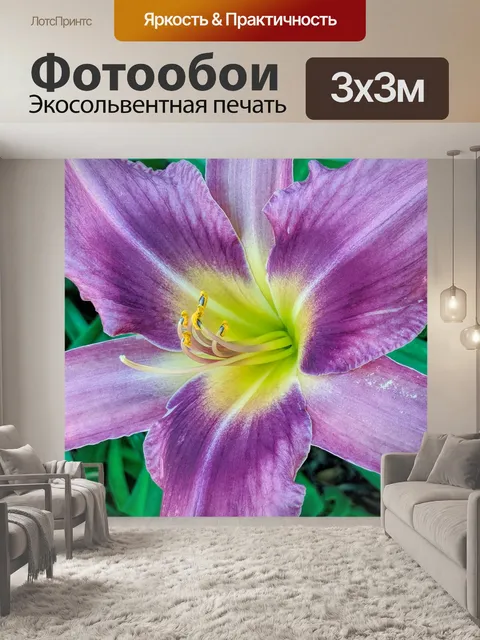 Фотообои Фиолетовый цветок лилии