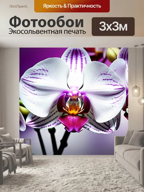 Фотообои с орхидеями легкий