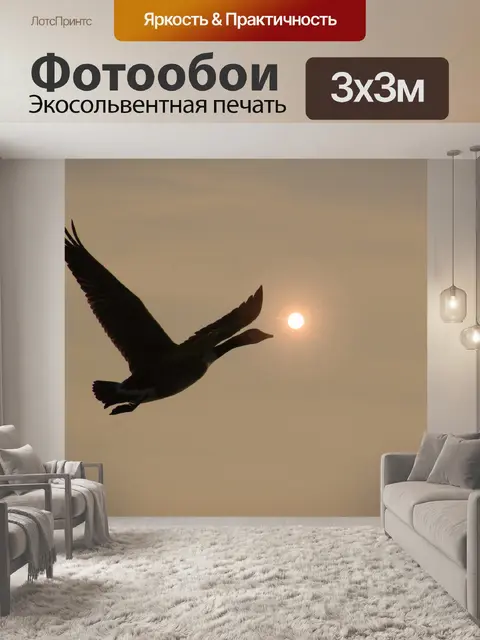 Фотообои Птица