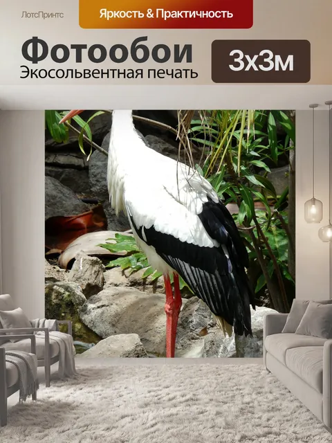 Фотообои Аист