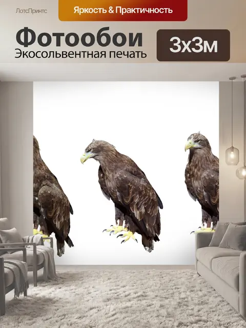 Фотообои Орел