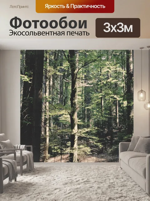 Фотообои Лес