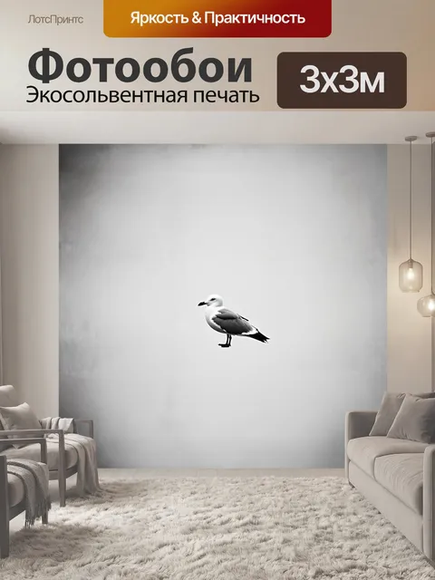 Фотообои минималистическое изображение чайки в стиле минимализма