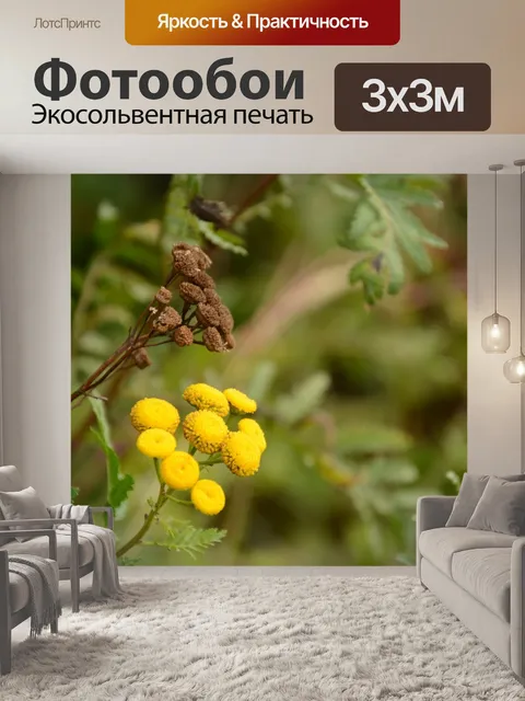 Фотообои Цветы