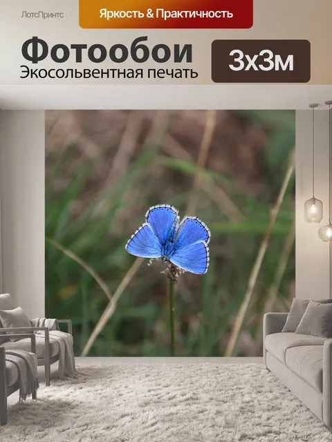 Фотообои Бабочка