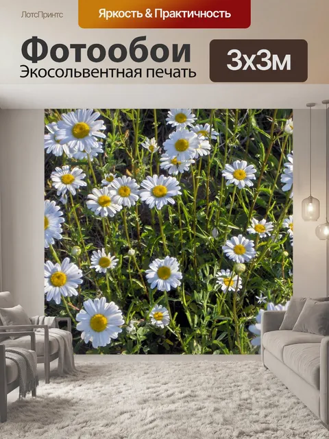Фотообои Ромашки