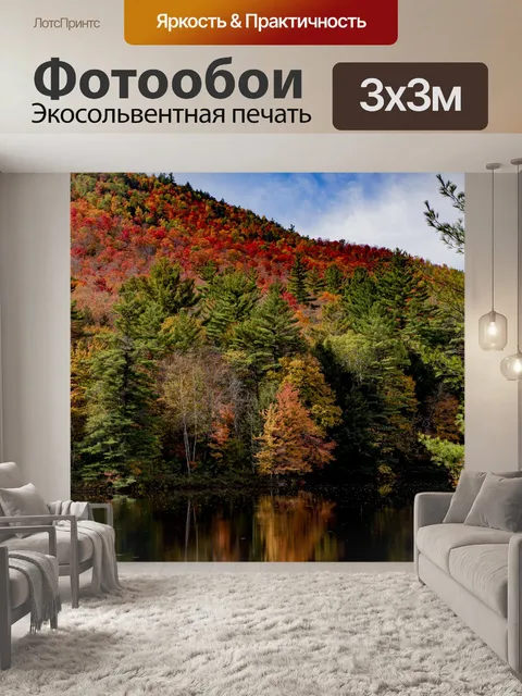 Фотообои Осенний цвет фона деревьев