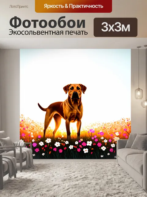 Фотообои на заре лабрадор, стоящий среди цветущих цветов, освещается мягкими лучами света
