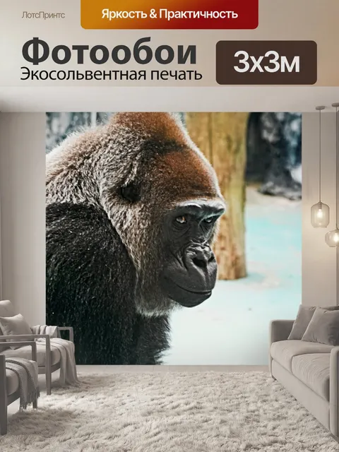 Фотообои Silverback Gorilla