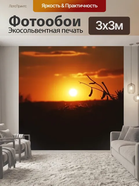 Фотообои Солнце