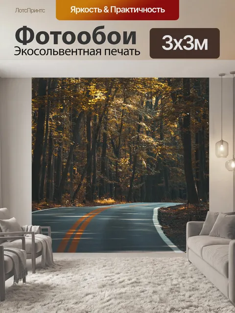 Фотообои Асфальт