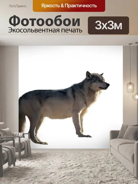 Фотообои Волк