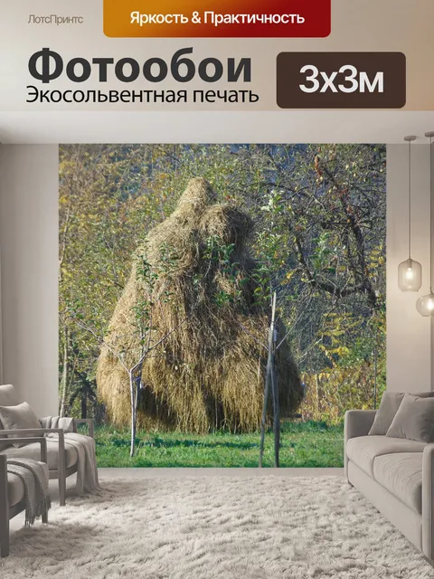 Фотообои Природа