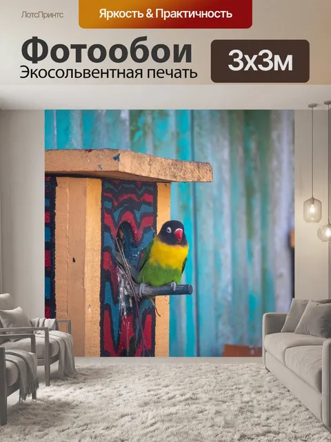 Фотообои Птица