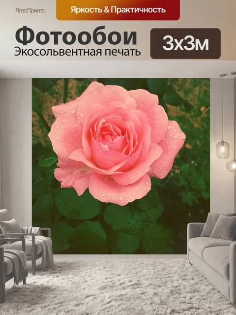 Фотообои Роза