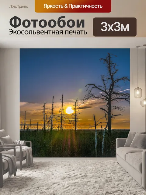 Фотообои Деревья