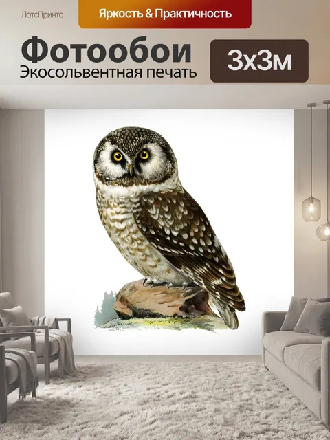 Фотообои Винтаж старый клипарт сова