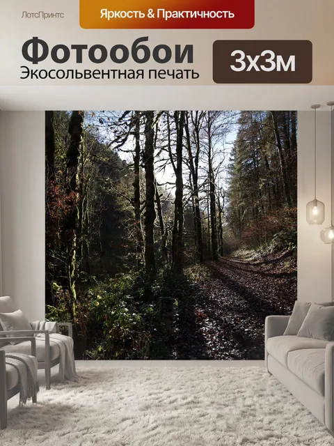 Фотообои Лес
